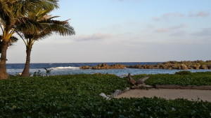 20150303_172420_Richtone(HDR)